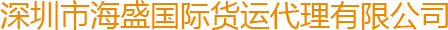 深圳市海盛国际货运代理有限公司
