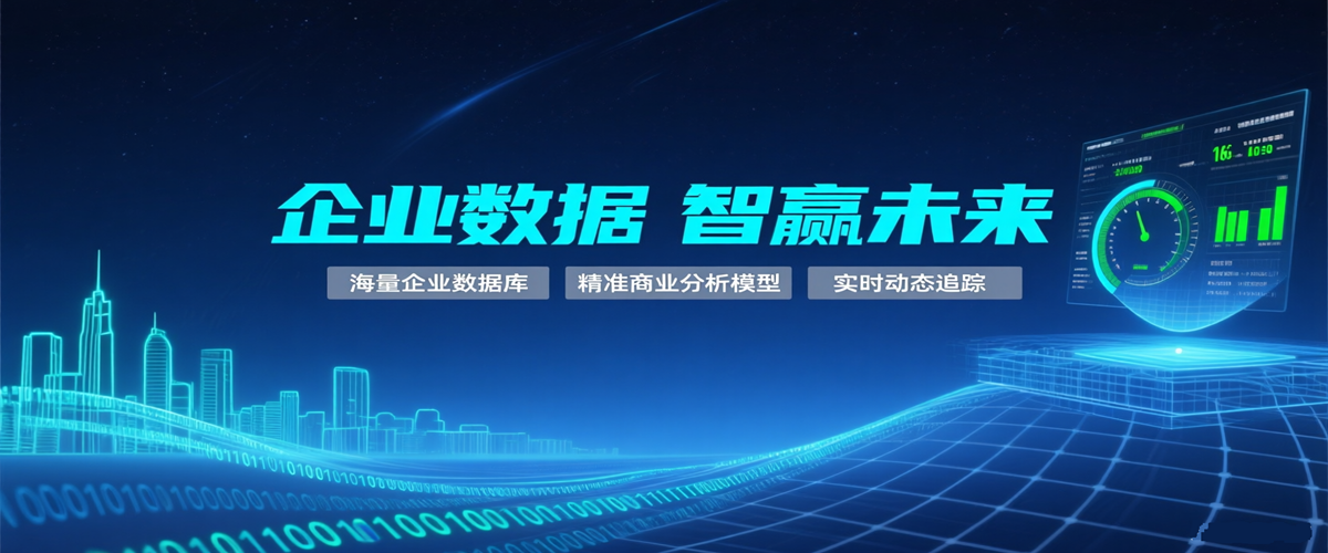 数据智能服务商