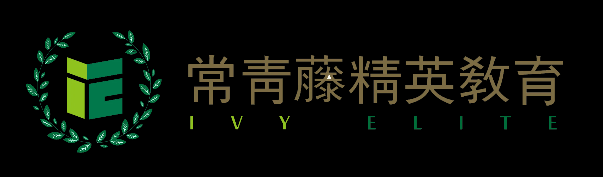 美国常青藤精英教育