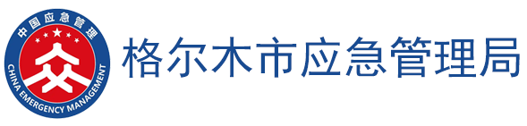 格尔木市应急管理局安全生产监管基础平台