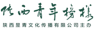 陕西青年网
