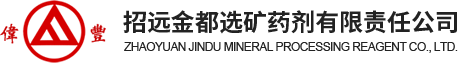 招远金都选矿药剂有限责任公司