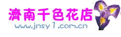 济南鲜花店,济南花店,济南鲜花