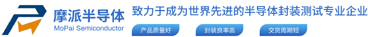 江苏摩派半导体有限公司