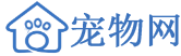 宠物网