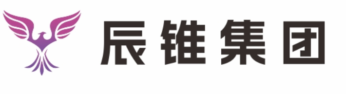 四川辰锥企业管理集团有限公司