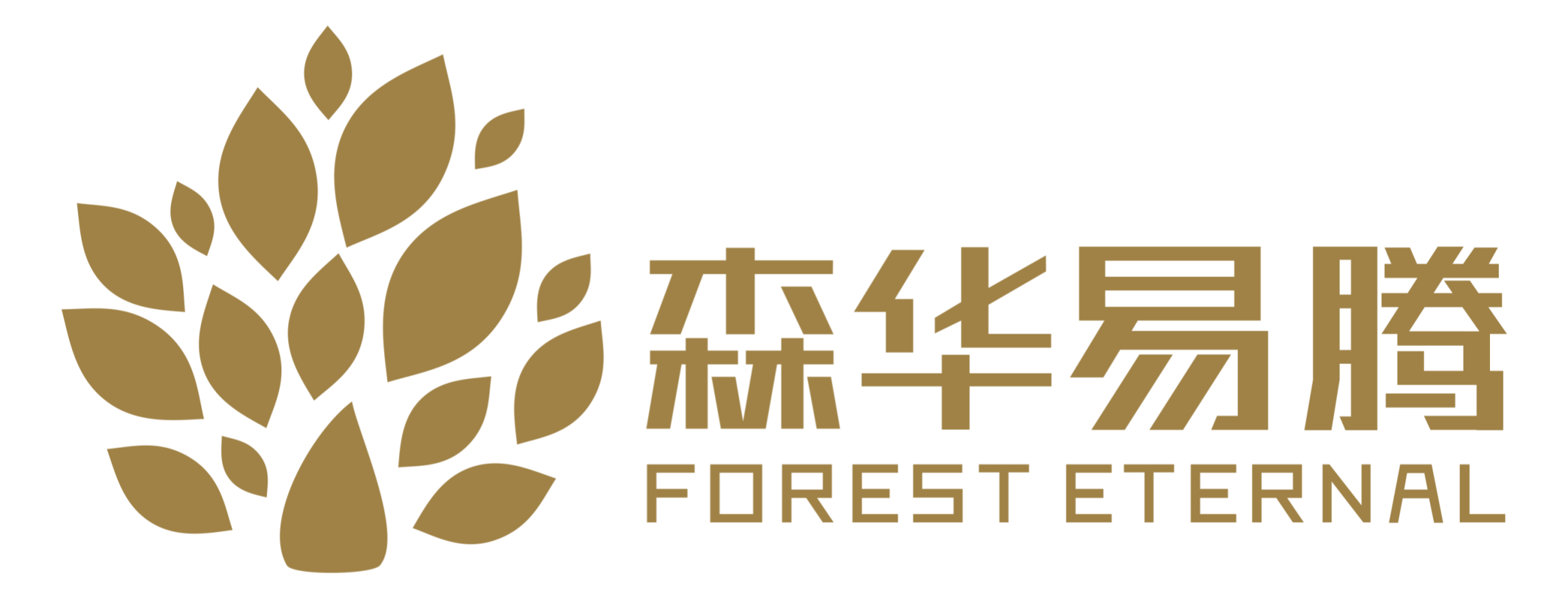 森华易腾