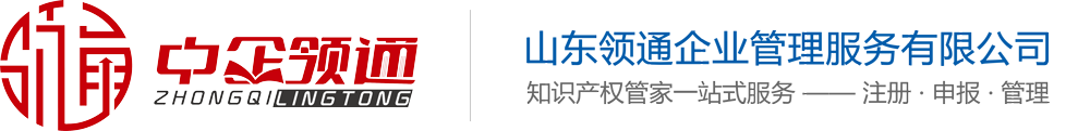 山东领通企业管理服务有限公司