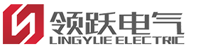 浙江领跃电气有限公司