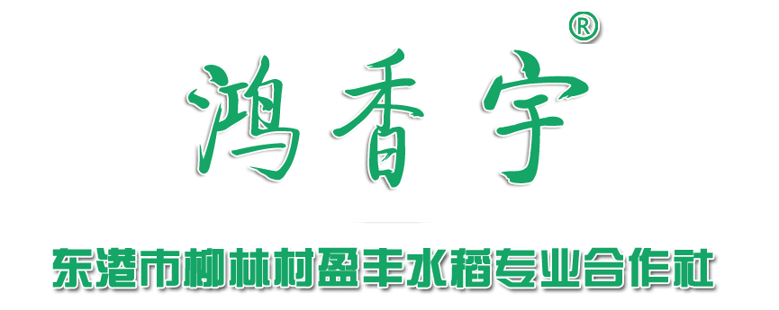 柳林大米