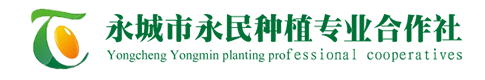 高产大豆新品种