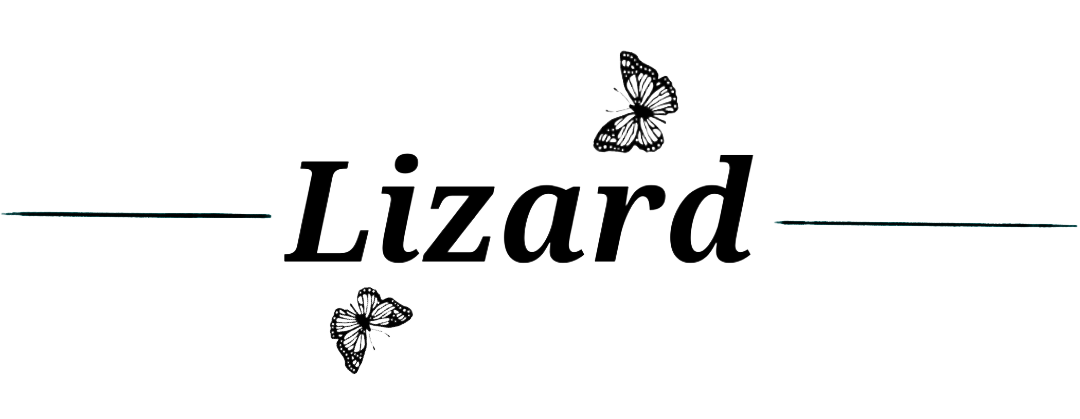 Lizard个人博客