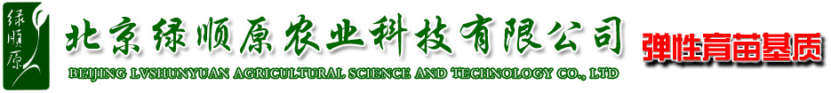 首页