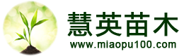 昆明苗木公司