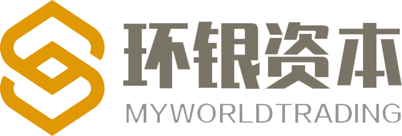 环银资本