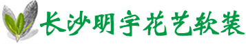 湖南植物墙