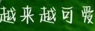 【国内旅游攻略】