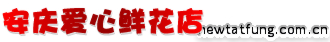安庆鲜花预定