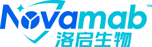 致力于纳米抗体新药研发