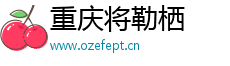 重庆将勒栖贸易有限公司