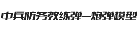 中兵防务教练弹