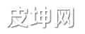 皮坤网