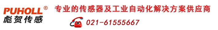 扭矩传感器,动态扭矩传感器,静态扭矩传感器,上海扭矩传感器