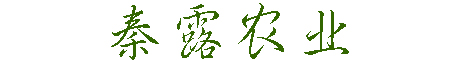 秦露苹果