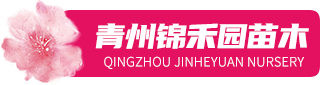 青州锦禾园苗木有限公司