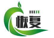 恢复游戏网