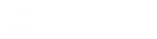 上海申光