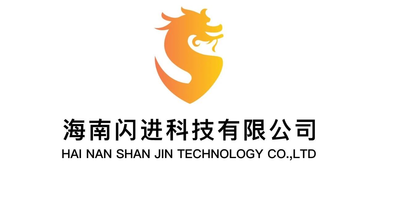 海南闪进科技有限公司
