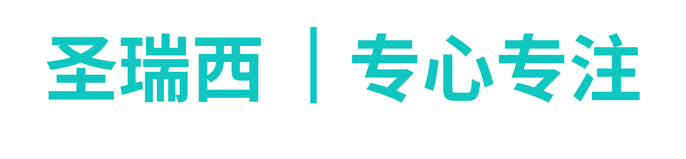 南京圣瑞西健康科技有限公司