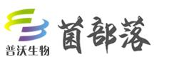 首页