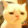 蟹蟹说说