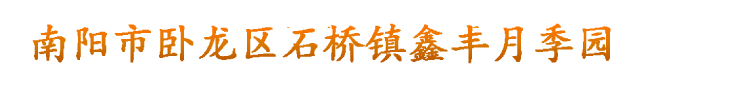 首页
