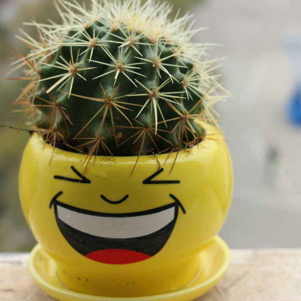 邓尘锋