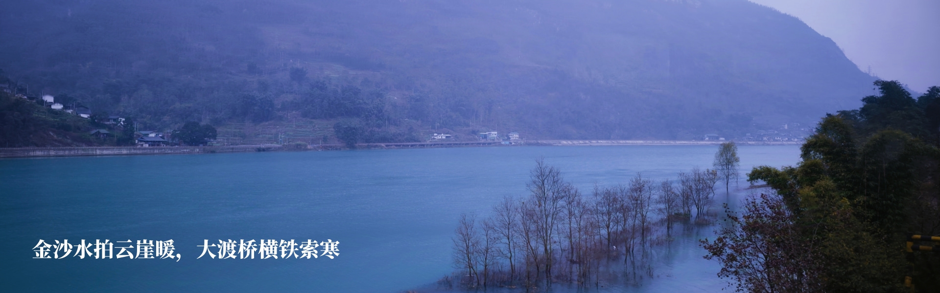 树深见鹿