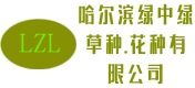 哈尔滨哪卖花种,哈尔滨哪卖花籽,哈尔滨草种