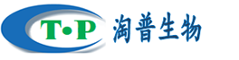 多肽合成公司(厂家)•多肽定制•多肽合成价格
