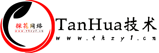 探花网络技术空间