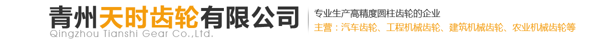 青州高精度圆柱齿轮和油泵齿轮生产公司