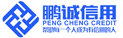 鹏诚(天津)信用服务有限公司