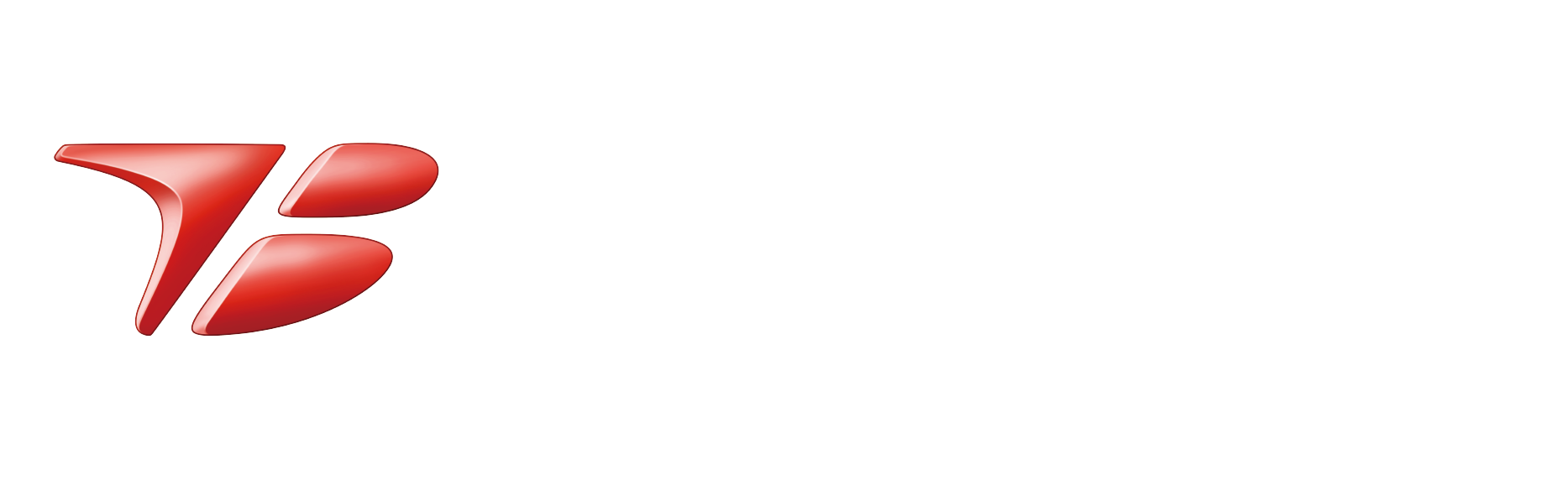 丰田纺织（中国）有限公司