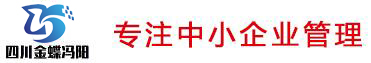 四川金蝶冯阳
