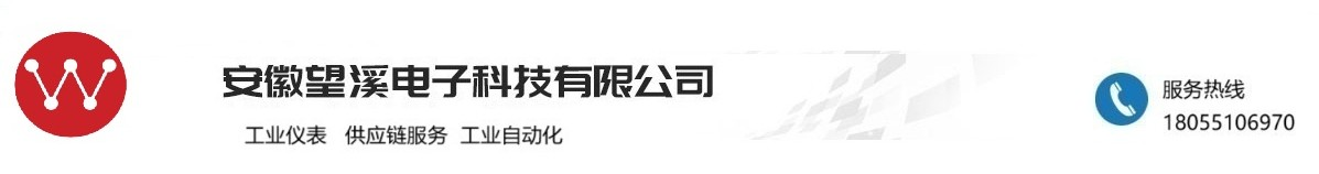 安徽望溪电子科技有限公司