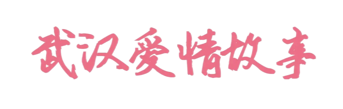 苏丁匠（武汉）科技有限公司