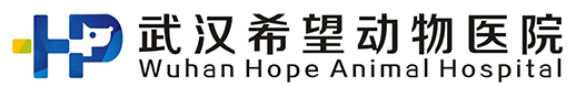 武汉希望动物医院有限公司【官网】