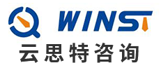云思特咨询有限公司