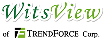WitsView
